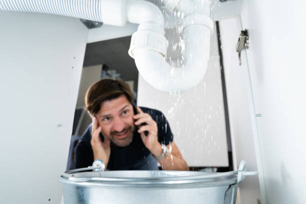 Best Water Softener Installation  in Goodwater, AL