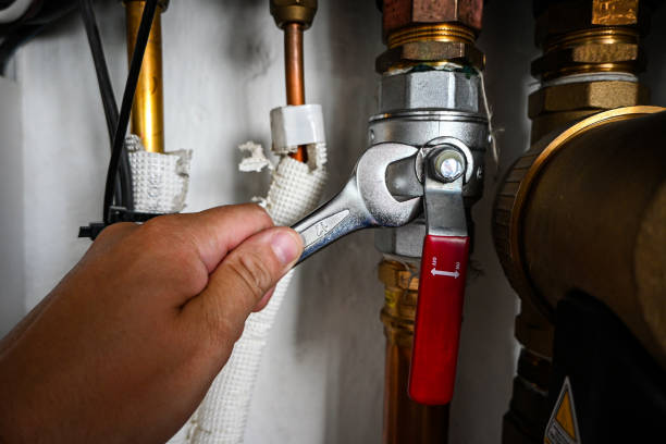 Best Local Plumber Services  in Goodwater, AL